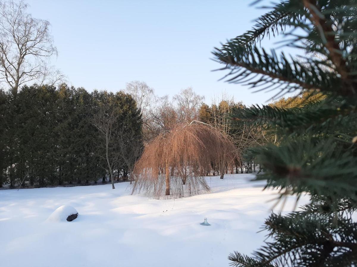 Champêtre Park View Riga