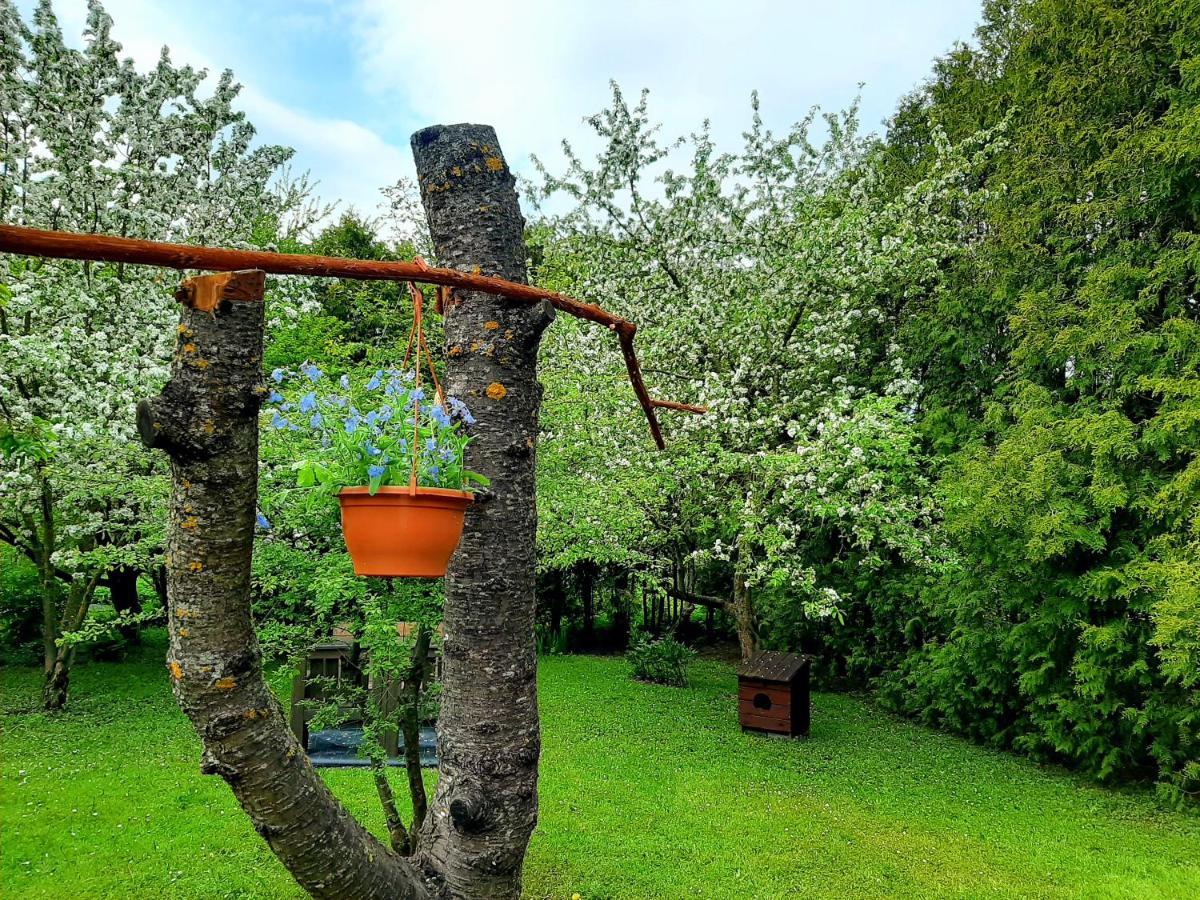 Champêtre Park View Appartement *