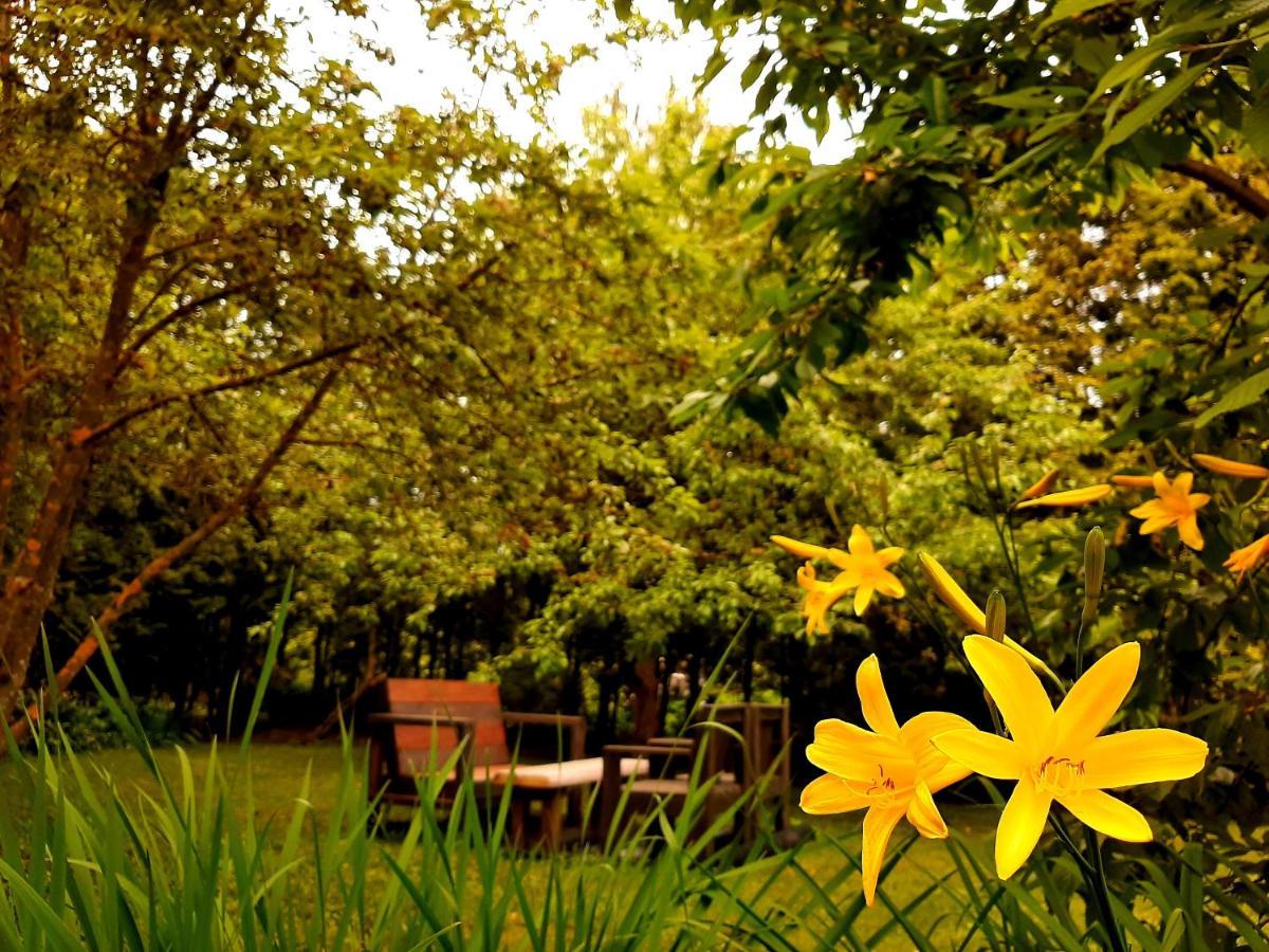 Champêtre Park View Appartement *